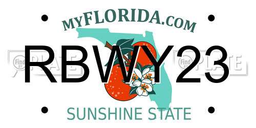 RBWY23 Florida License Plate