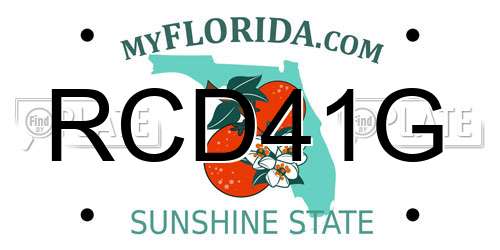 RCD41G Florida License Plate