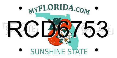 RCD6753 Florida License Plate