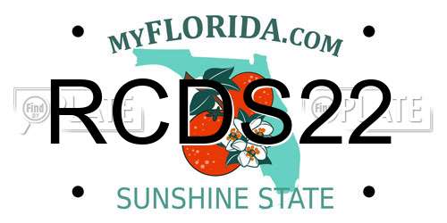 RCDS22 Florida License Plate