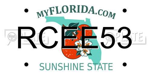 RCEE53 Florida License Plate