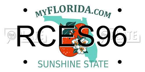 RCES96 Florida License Plate