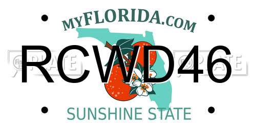 RCWD46 Florida License Plate
