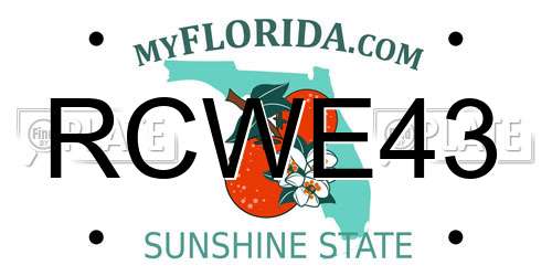 RCWE43 Florida License Plate