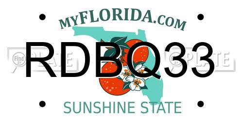 RDBQ33 Florida License Plate
