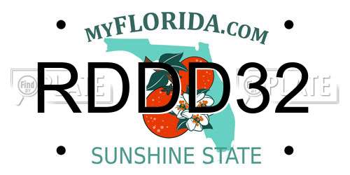 RDDD32 Florida License Plate