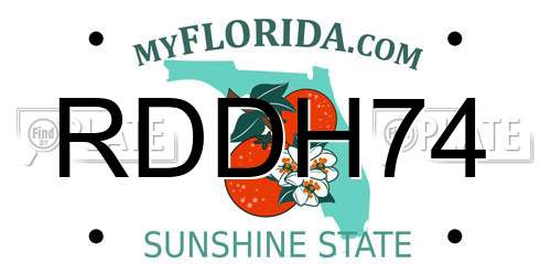RDDH74 Florida License Plate
