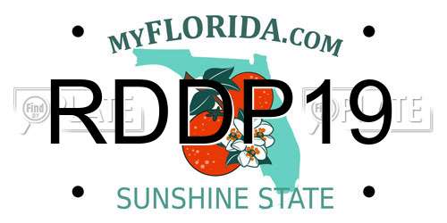 RDDP19 Florida License Plate