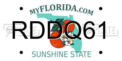 RDDQ61 Florida License Plate