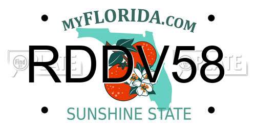 RDDV58 Florida License Plate