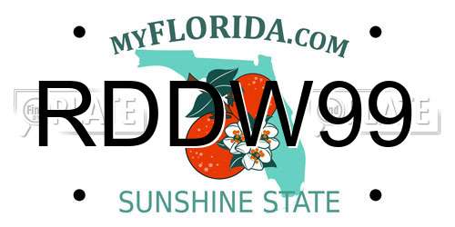 RDDW99 Florida License Plate