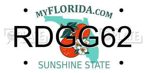 RDGG62 Florida License Plate