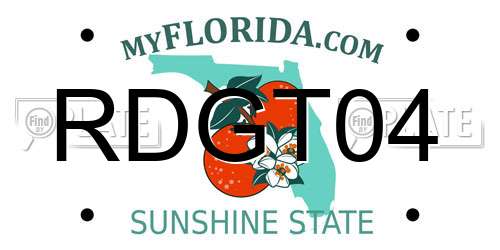 RDGT04 Florida License Plate