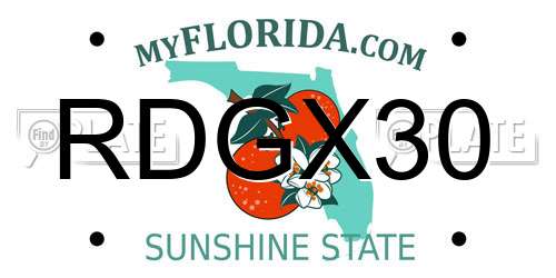 RDGX30 Florida License Plate