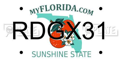 RDGX31 Florida License Plate