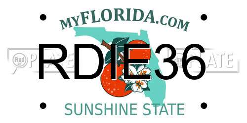 RDIE36 Florida License Plate