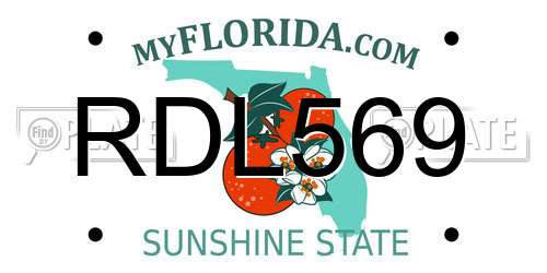RDL569 Florida License Plate