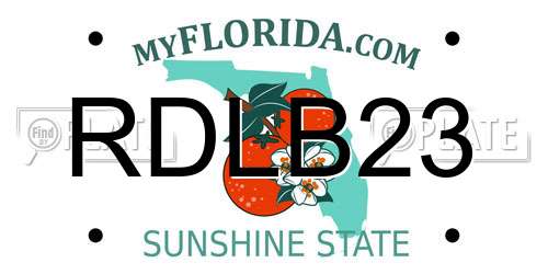 RDLB23 Florida License Plate