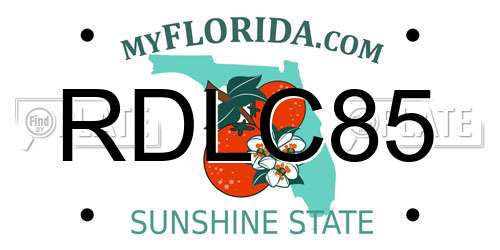 RDLC85 Florida License Plate