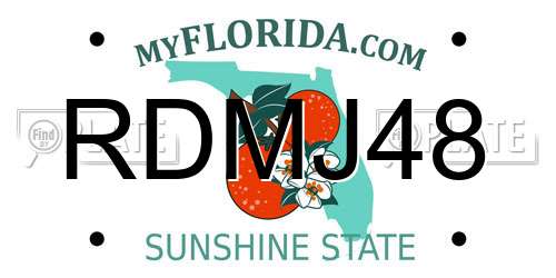 RDMJ48 Florida License Plate
