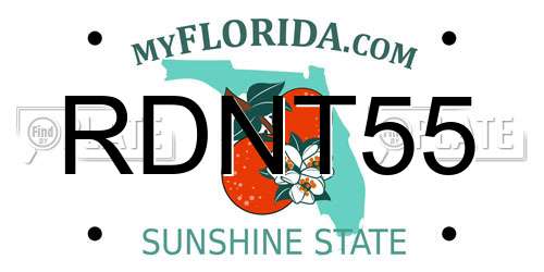 RDNT55 Florida License Plate