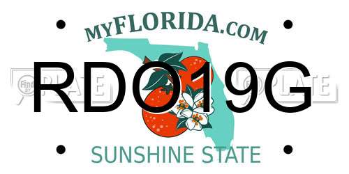RDO19G Florida License Plate