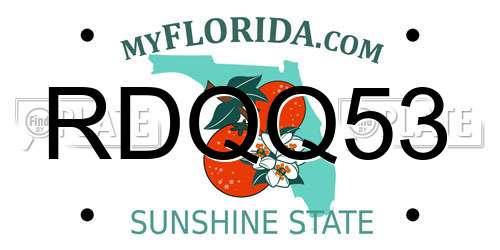 RDQQ53 Florida License Plate