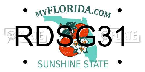 RDSG31 Florida License Plate