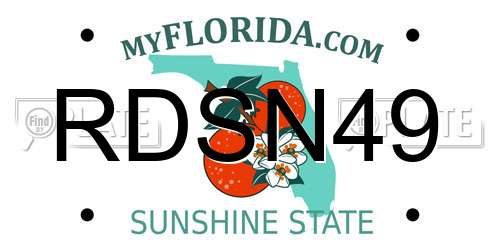 RDSN49 Florida License Plate