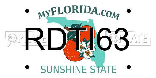 RDTI63 Florida License Plate