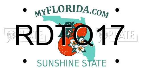RDTQ17 Florida License Plate
