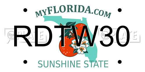 RDTW30 Florida License Plate
