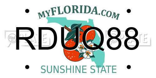 RDUQ88 Florida License Plate