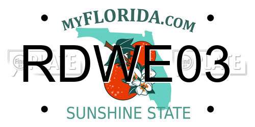 RDWE03 Florida License Plate
