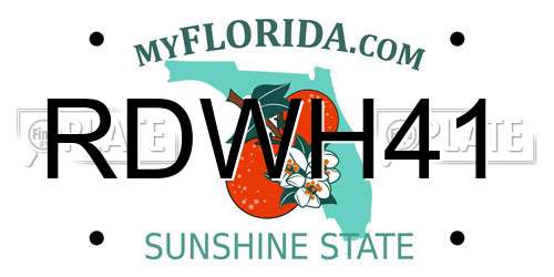 RDWH41 Florida License Plate