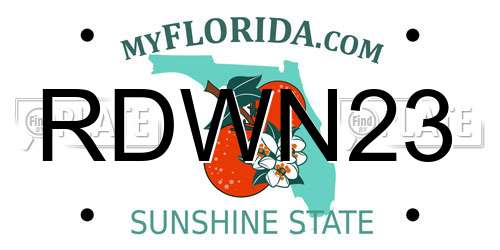 RDWN23 Florida License Plate