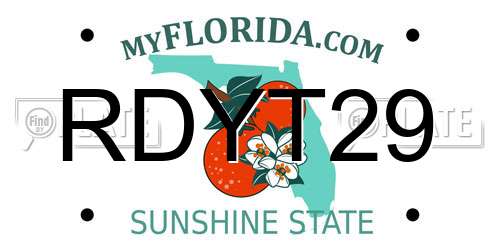 RDYT29 Florida License Plate