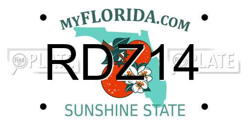 RDZ14 Florida License Plate