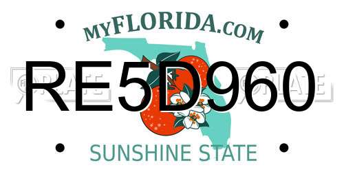 RE5D960 Florida License Plate