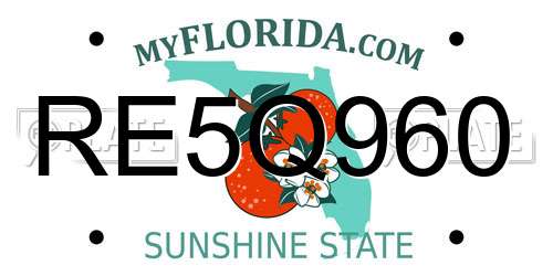 RE5Q960 Florida License Plate