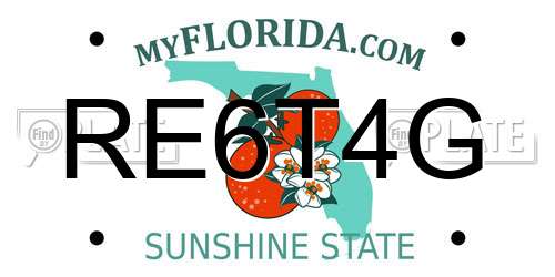 RE6T4G Florida License Plate