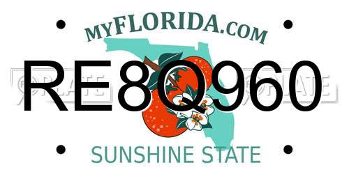 RE8Q960 Florida License Plate