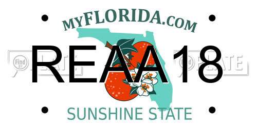 REAA18 Florida License Plate