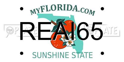 REAI65 Florida License Plate