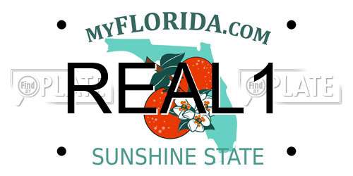 REAL1 Florida License Plate
