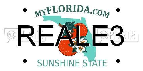 REALE3 Florida License Plate