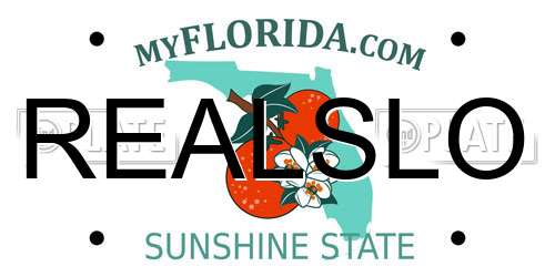 REALSLO Florida License Plate