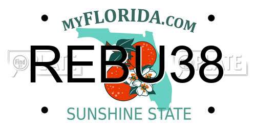REBU38 Florida License Plate