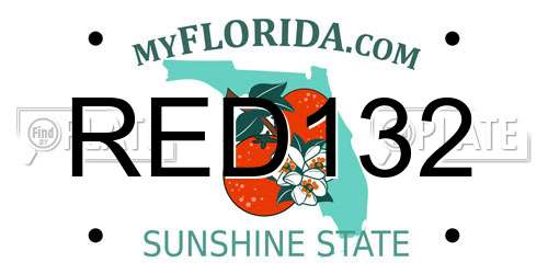 RED132 Florida License Plate
