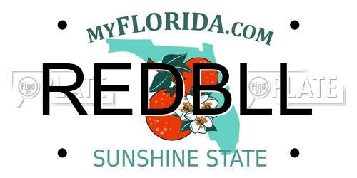 REDBLL Florida License Plate